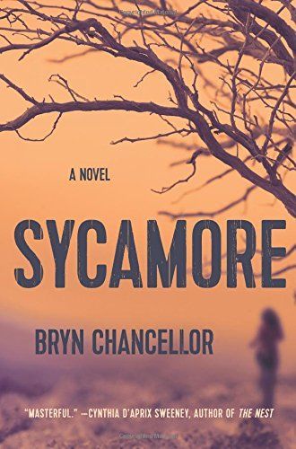 Sycamore
