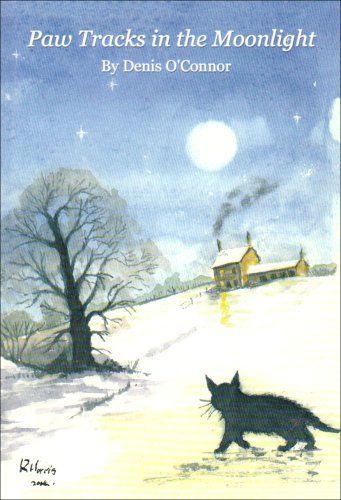 Paw Tracks in the Moonlight