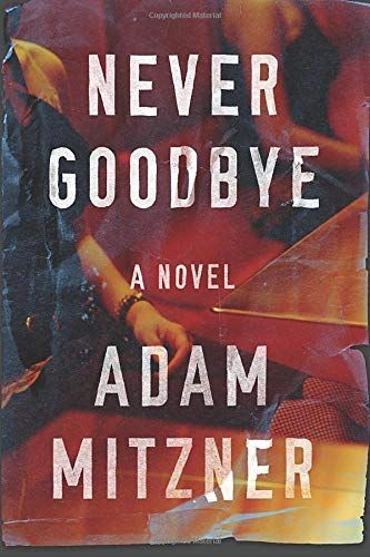 Never Goodbye