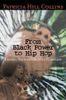 From Black Power to Hip Hop