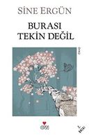 Burasi Tekin Degil