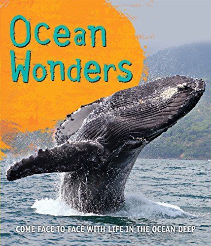 Fast Facts: Ocean Wonders