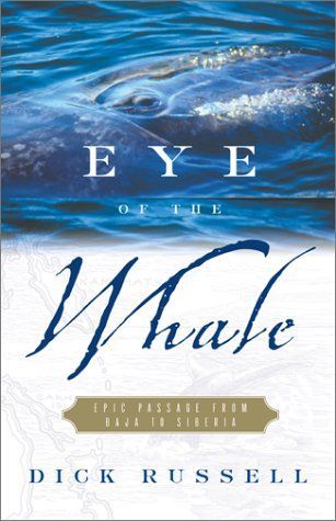 Eye of the Whale