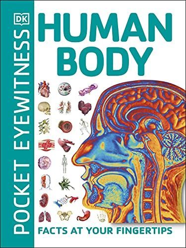 Human Body