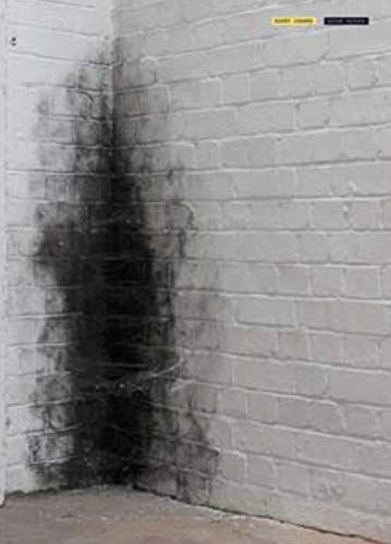 Anish Kapoor