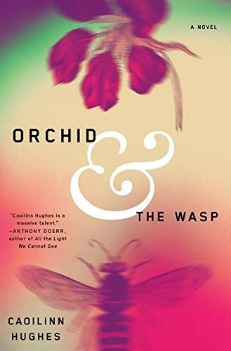 Orchid & the wasp