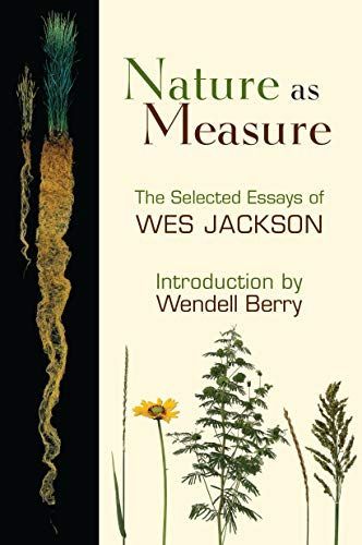 Nature as measure