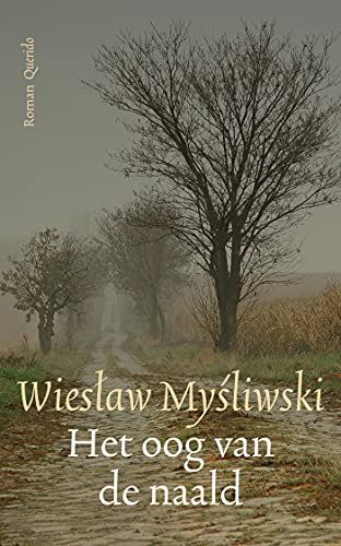 Het Oog van de Naald