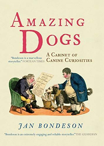 Amazing dogs