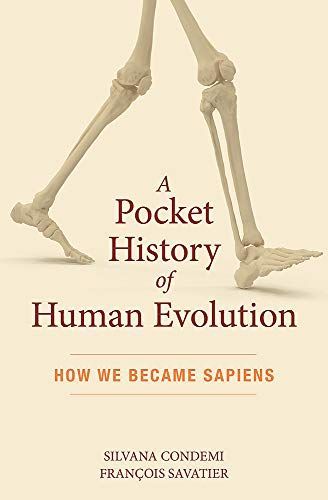 A Pocket History of Human Evolution