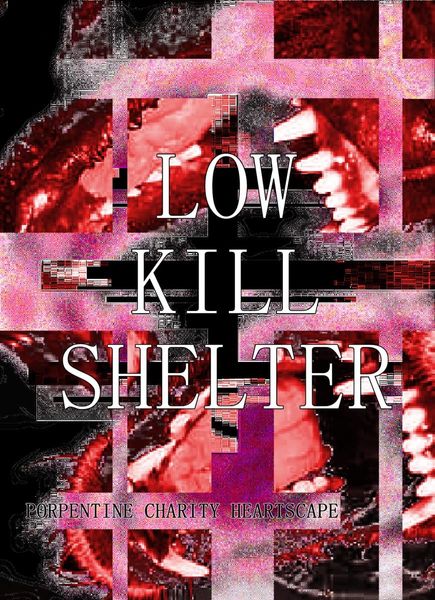 Low Kill Shelter