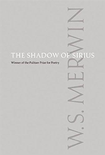 The shadow of Sirius