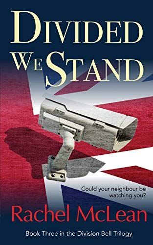 Divided We Stand: Could Your Neighbour Be Watching You?