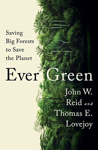 Ever Green