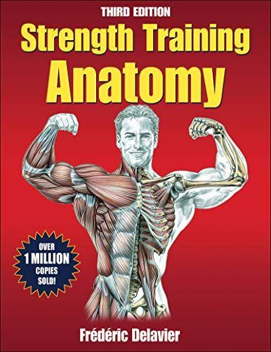 Strength training anatomy