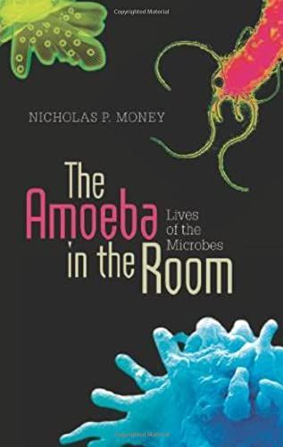 The amoeba in the room