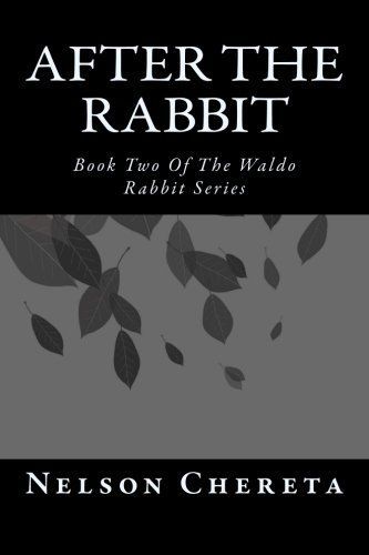 After the Rabbit