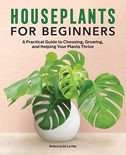 Houseplants for Beginners