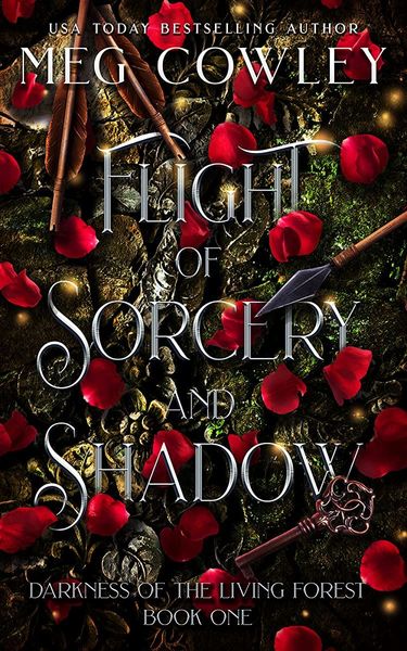 Flight of Sorcery and Shadow (Tales of Tir-na-Alathea