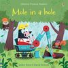 Mole in a Hole IR