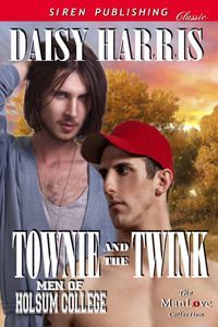 Townie and the Twink [Men of Holsum College 3]