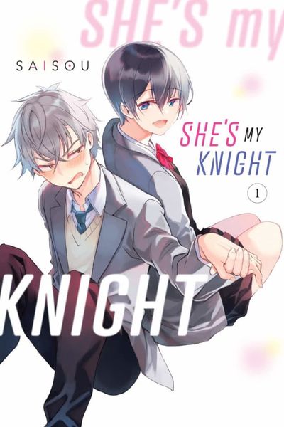 She's My Knight 1