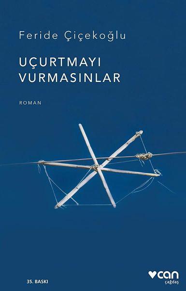 Uçurtmayı vurmasınlar