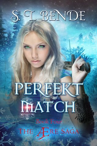 Perfekt Match (The Ære Saga Book 4)