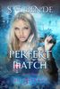 Perfekt Match (The Ære Saga Book 4)