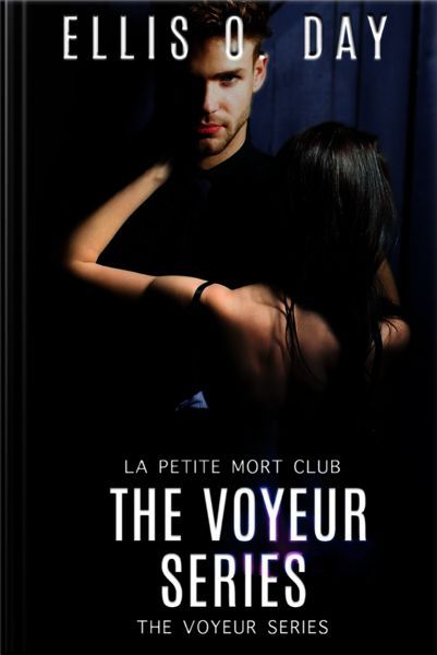 The Voyeur Series Books 1 - 4