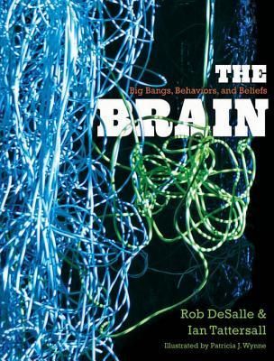 The Brain