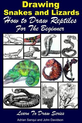 Drawing Snakes and Lizards - How to Draw Reptiles For the Beginner