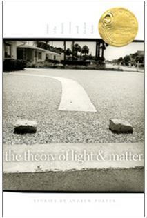 The Theory of Light and Matter
