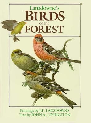 Birds of the Forest