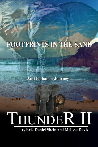 Thunder II: Footprints in the Sand