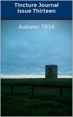 Tincture Journal Issue Thirteen (Autumn 2016)