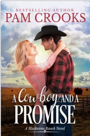 A Cowboy and a Promise