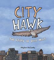 City Hawk