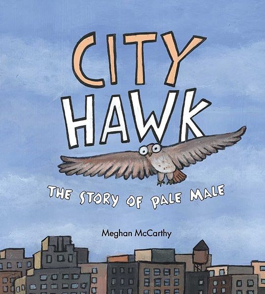 City Hawk