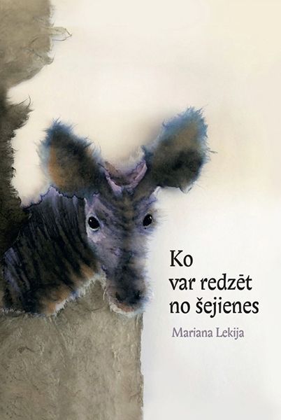 Ko var redzēt no šejienes