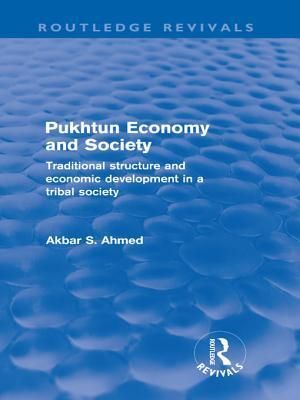 Pukhtun Economy and Society (Routledge Revivals)