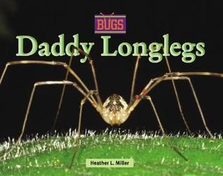 Daddy Longlegs