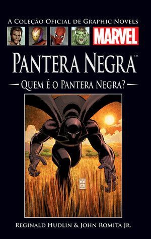 Quem é o Pantera Negra?