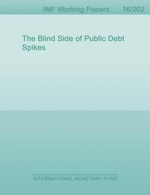 The Blind Side of Public Debt Spikes