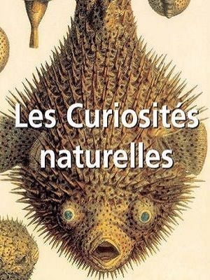 Les Curiosités naturelles