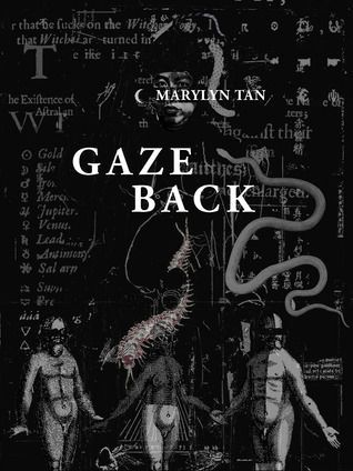 Gaze Back