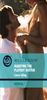 Marrying The Playboy Doctor (Mills & Boon Medical) (Cedar Bluff Hospital, Book 1)