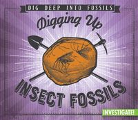 Digging Up Insect Fossils