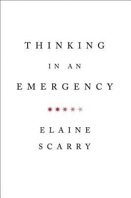 Thinking in an Emergency (Norton Global Ethics Series)