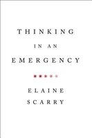 Thinking in an Emergency (Norton Global Ethics Series)